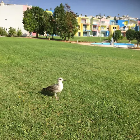 Apartmán Luxury 2-bed With Huge Pool -